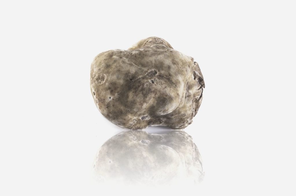 white truffle numelab switzerland skincare