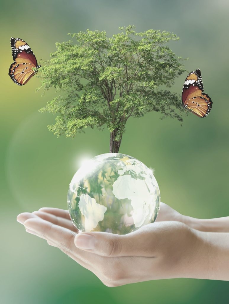 world health day 2022 numelab switzerland skincare (3)